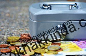 Bireysel emeklilik sistemine girmeyen işverenlere ceza var para 1480311696 300x195 - Bireysel emeklilik sistemine girmeyen işverenlere ceza var