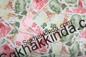 Asgari ücret belli oldu lira 1483011377 300x200 - Asgari ücret belli oldu