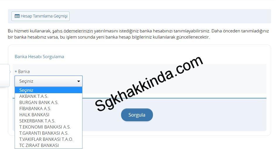 Rapor paramı almayı unuttum E devlet hesap tanımlama1 - Rapor paramı almayı unuttum