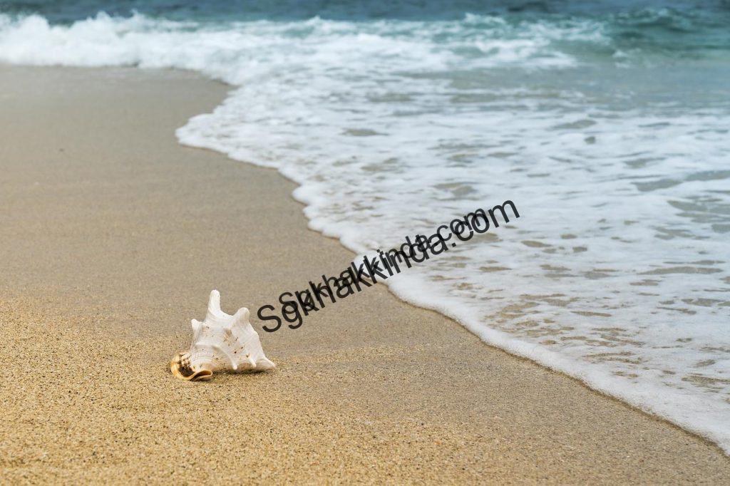 Yıllık izin süresinde başka işte çalışılabilir mi? tatil 1525029114 1024x682 - Yıllık izin süresinde başka işte çalışılabilir mi?